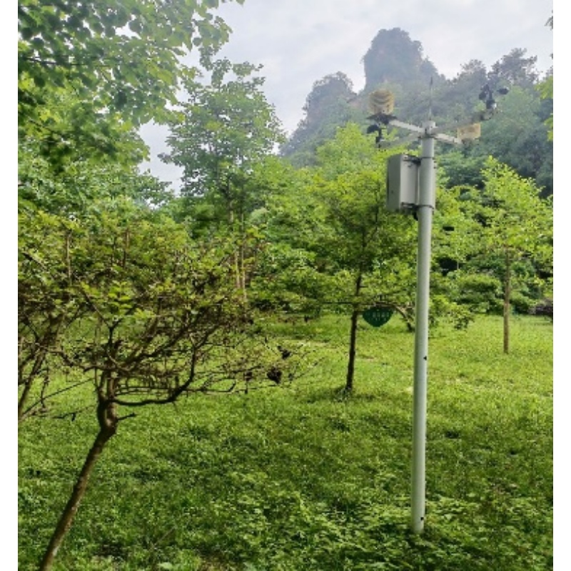 �ǻ�ɭ�ֽ����������ͼ