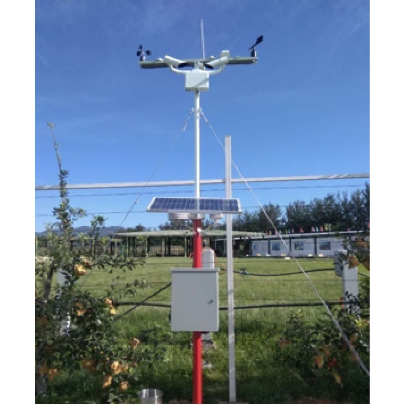 ����վRM-ZN-W-AWS